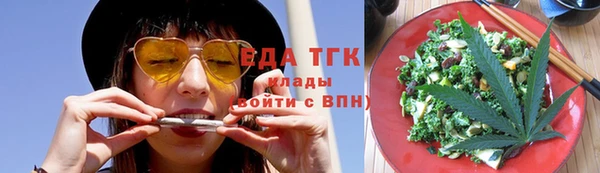 прущие грибы Вязьма
