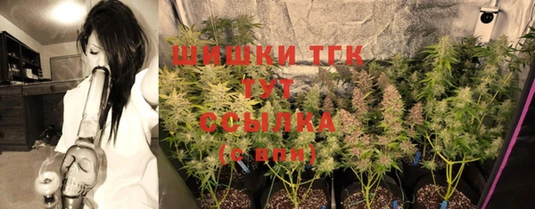 соль ск Абаза