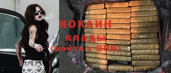 соль ск Абаза