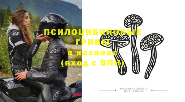 соль ск Абаза