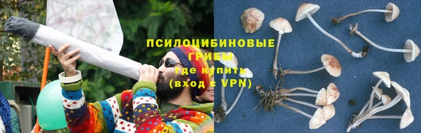 соль ск Абаза