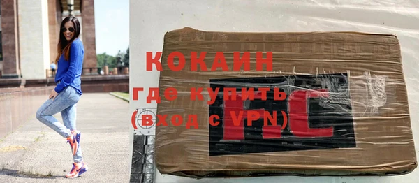 соль ск Абаза