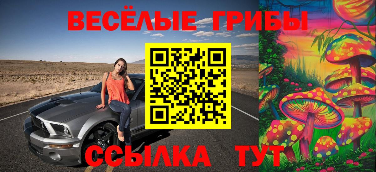 Псилоцибиновые грибы Psilocybe  Вход с VPN  Псилоцибиновые грибы Cubensis  Северодвинск 